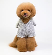 Load image into Gallery viewer, Bunny Ears Hoodie - Gray