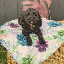 Load image into Gallery viewer, Succulent Medley Pet Travel Mat