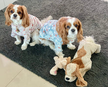 Load image into Gallery viewer, Fleece PJs - Baby Blue