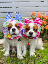 Load image into Gallery viewer, Donut Snood with Blue Bow