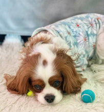 Load image into Gallery viewer, Fleece PJs - Baby Blue