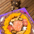 Load image into Gallery viewer, Bones eMat Enrichment Lick Mat