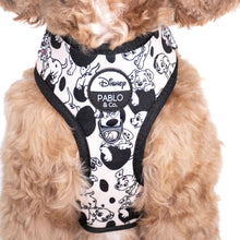 Load image into Gallery viewer, 101 Dalmatians: Adjustable Harness
