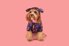 Load image into Gallery viewer, DOG RAINCOAT: Lightning Storm
