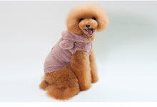 Load image into Gallery viewer, Teddy Bear Hoodie - Mauve
