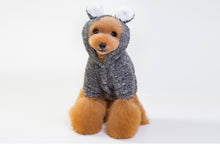 Load image into Gallery viewer, Koala Hoodie - Smokey
