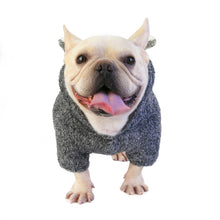 Load image into Gallery viewer, Koala Hoodie - Smokey
