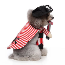 Load image into Gallery viewer, Pirate Costume
