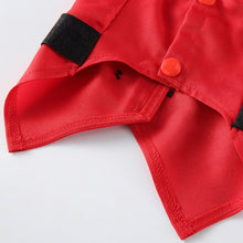 Load image into Gallery viewer, Santa Outfit with Santa Hat
