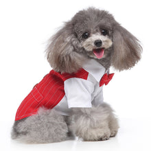 Load image into Gallery viewer, Smart Red Vest with bow
