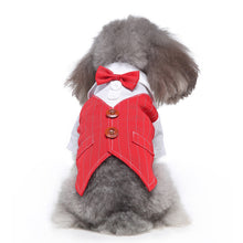 Load image into Gallery viewer, Smart Red Vest with bow
