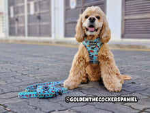 Load image into Gallery viewer, NEW Leash – Japanese Sushi

