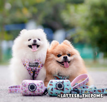 Load image into Gallery viewer, *BUNDLE at 20% off* Potato Chips – Adjustable Dog Harness + Leash + Waste Bag Holder
