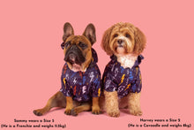 Load image into Gallery viewer, DOG RAINCOAT: Lightning Storm
