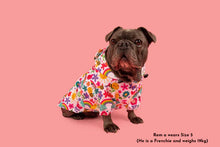 Load image into Gallery viewer, DOG RAINCOAT: Follow the Rainbow
