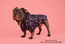 Load image into Gallery viewer, DOG RAINCOAT: Lightning Storm
