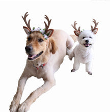 Load image into Gallery viewer, Christmas Antlers with Flowers
