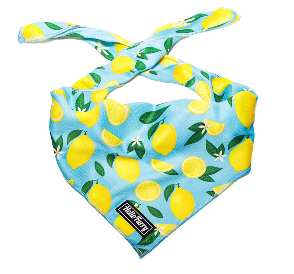 Lemon Fresh – Cooling Bandana