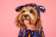 Load image into Gallery viewer, DOG RAINCOAT: Lightning Storm

