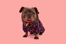 Load image into Gallery viewer, DOG RAINCOAT: Lightning Storm
