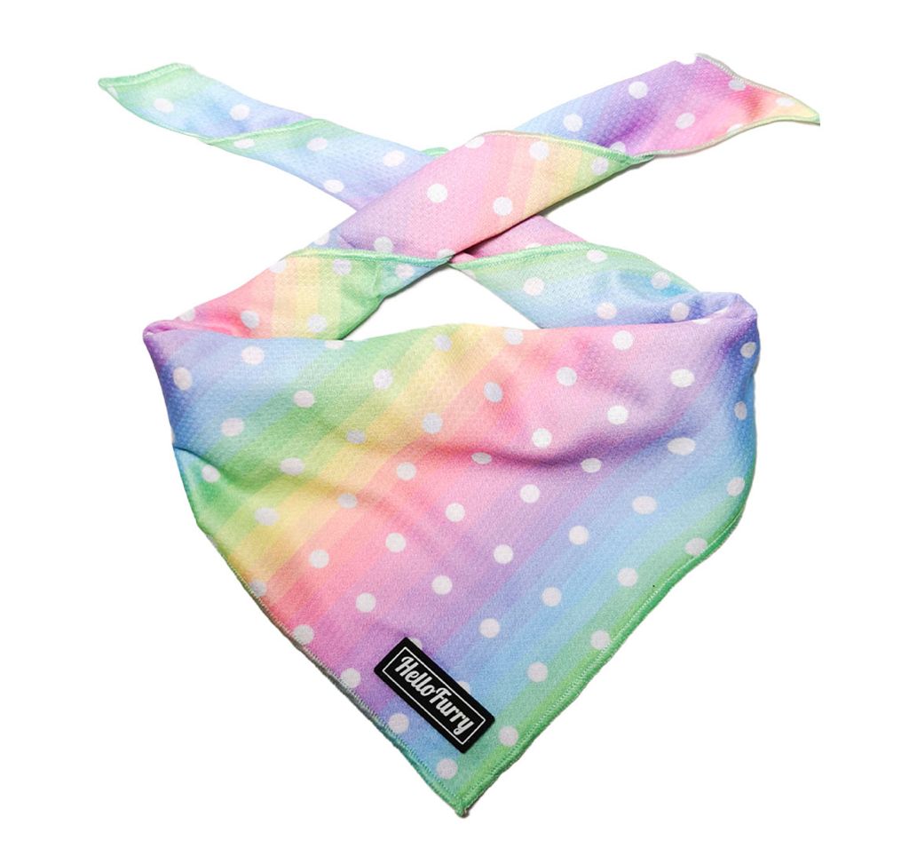 Ombre Rainbow – Cooling Bandana