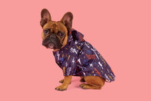 Load image into Gallery viewer, DOG RAINCOAT: Lightning Storm
