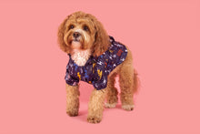 Load image into Gallery viewer, DOG RAINCOAT: Lightning Storm
