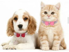 Load image into Gallery viewer, Stylish Bling Bow Collar - Blush Pink
