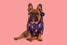 Load image into Gallery viewer, DOG RAINCOAT: Lightning Storm
