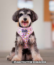 Load image into Gallery viewer, *BUNDLE at 20% off* Potato Chips – Adjustable Dog Harness + Leash + Waste Bag Holder
