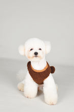 Load image into Gallery viewer, Beary Cute Jumper - Chocolate
