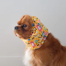 Load image into Gallery viewer, Cavaliers in the Sun Snood
