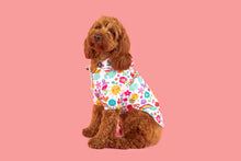 Load image into Gallery viewer, DOG RAINCOAT: Follow the Rainbow

