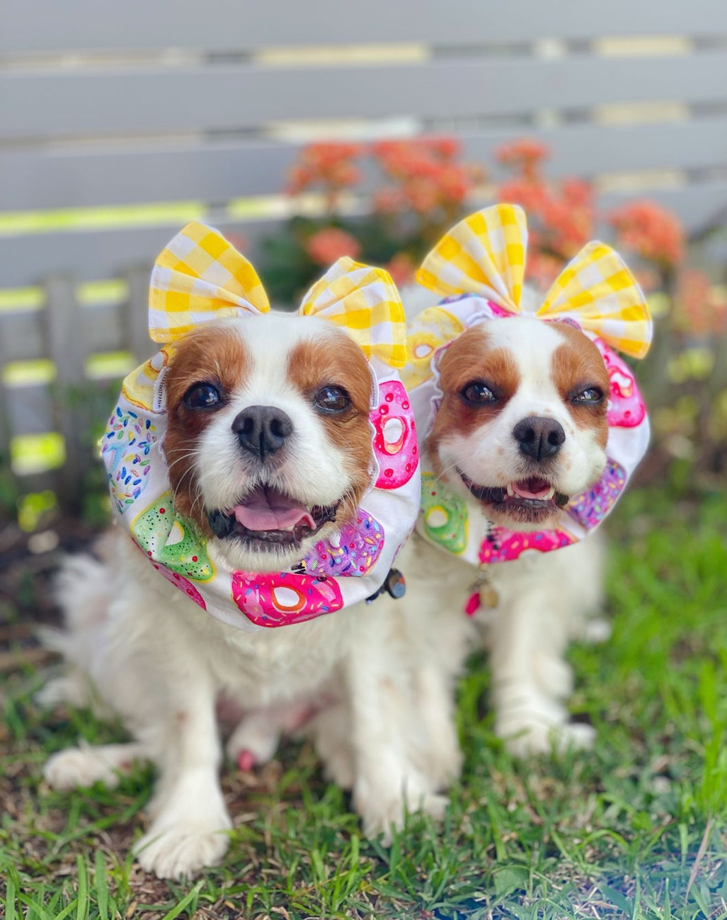 Donut Snood with Yellow Bow