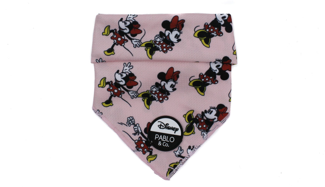 Minnie Mouse & Flowers: Dog Bandana