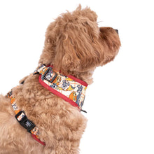 Load image into Gallery viewer, Lady and the Tramp: Adjustable Harness
