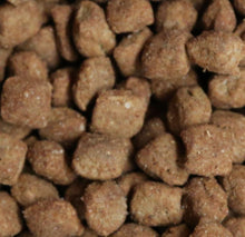 Load image into Gallery viewer, Canine Joint Support - Joint Supplement for Dogs - 120 Chews
