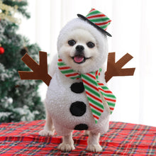 Load image into Gallery viewer, Snowman costume
