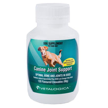 Load image into Gallery viewer, Canine Joint Support - Joint Supplement for Dogs - 120 Chews

