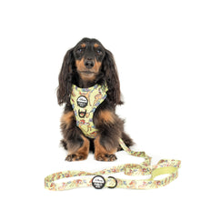 Load image into Gallery viewer, Bambi &amp; Butterflies: Dog Leash
