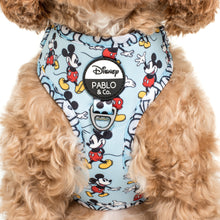 Load image into Gallery viewer, The Original Mickey Mouse: Adjustable Harness
