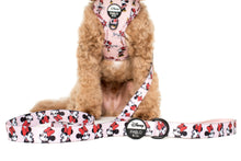 Load image into Gallery viewer, Minnie Mouse: Dog Leash
