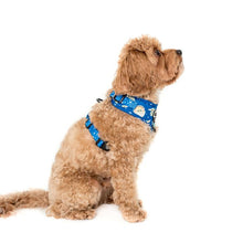 Load image into Gallery viewer, Star Wars Grogu: Adjustable Harness
