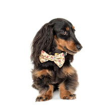 Load image into Gallery viewer, Winnie the Pooh &amp; Bee&#39;s: Bow Tie
