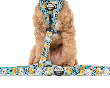 Load image into Gallery viewer, The Lion King: Dog Leash
