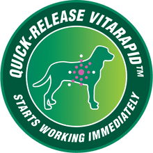 Load image into Gallery viewer, VitaRapid Active Multi Daily Treats For Dogs 210g
