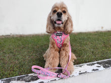 Load image into Gallery viewer, *BUNDLE at 40% off* Reversible Dog Harness – Pink Llama set + Leash
