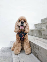 Load image into Gallery viewer, *BUNDLE* REVERSIBLE DOG HARNESS – Rubber Duck + Fox set + Leash at 15% off!
