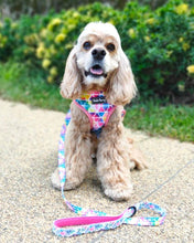 Load image into Gallery viewer, *BUNDLE at 40% off* Reversible Dog Harness – Flora Dream set + Leash
