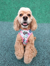 Load image into Gallery viewer, *BUNDLE at 40% off* Reversible Dog Harness – Flora Dream set + Leash
